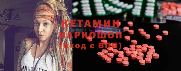 гидра Богородск