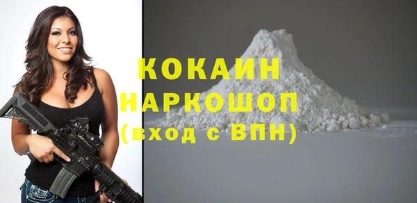 гидра Богородск