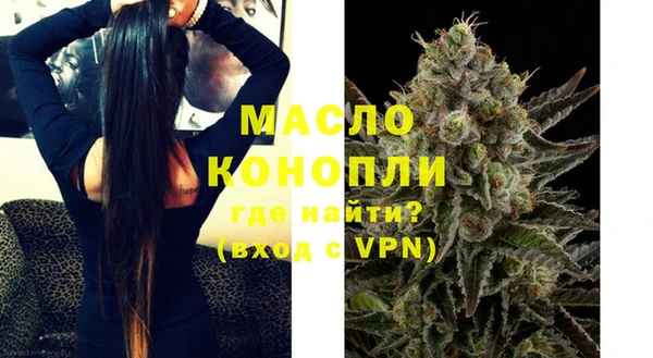 гидра Богородск