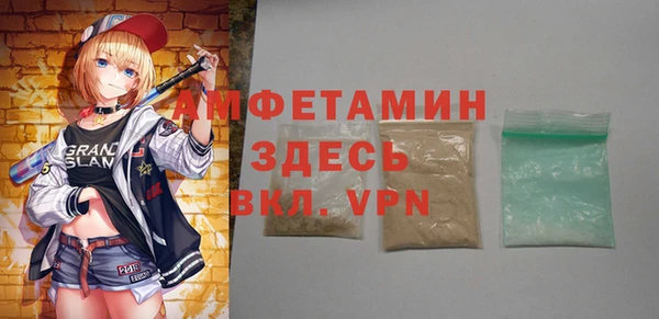 гидра Богородск