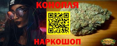 крисы Бийск