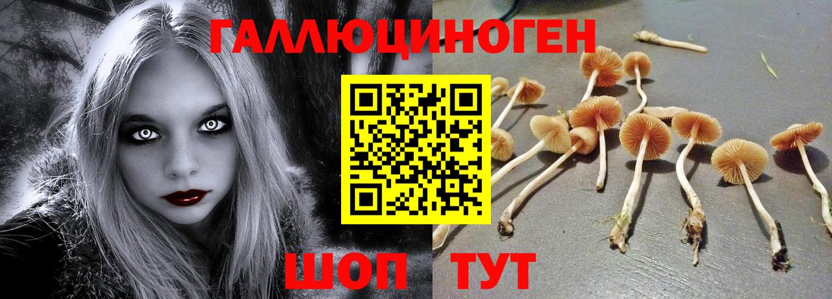 Волжск  Галлюциногенные грибы мицелий  Вход с VPN  Псилоцибиновые грибы Cubensis 