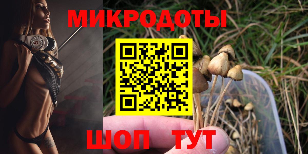 Псилоцибиновые грибы Psilocybine cubensis Волжск